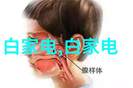塑料管材市场报价HDPE管价格分析与预测
