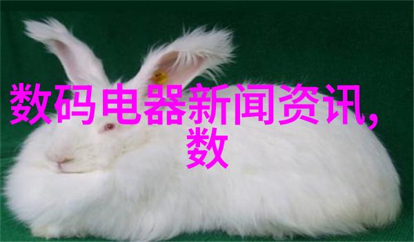 装修材料大全及图片-家居美学探索完美空间的装饰要素与实用指导
