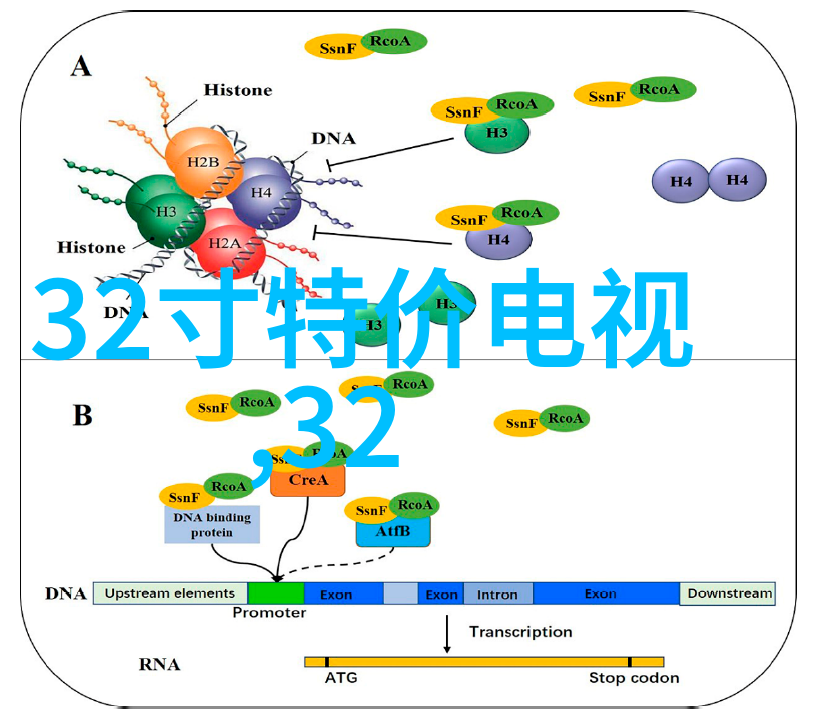 床上萝卜拔痛揭秘拔萝卜疼背后的医学症状