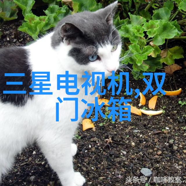 化工注射剂机械精准制造的生命线