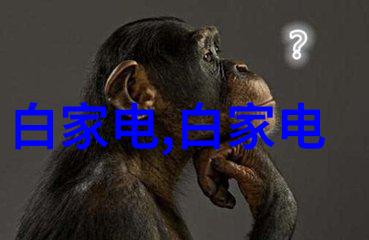 精铸无缝不锈钢管卓越品质广泛应用