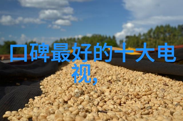 三瓣六瓣填料的安装要求与技巧分享