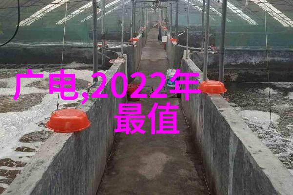 球王贝斯特冰场上的霸主与热情的传道者