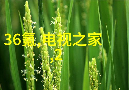 家庭生活的便利器十大家用电器简介