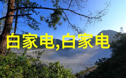 小巧宜人的2平米厕所装修设计温馨小空间的洗漱艺术