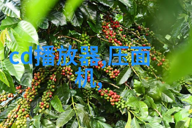 医疗器械-台式蒸汽灭菌器确保医疗环境的无菌安全