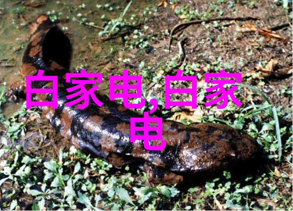 水电安装三级资质对项目影响的分析