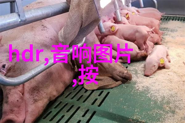 水净化之道清新泉源的秘密工坊