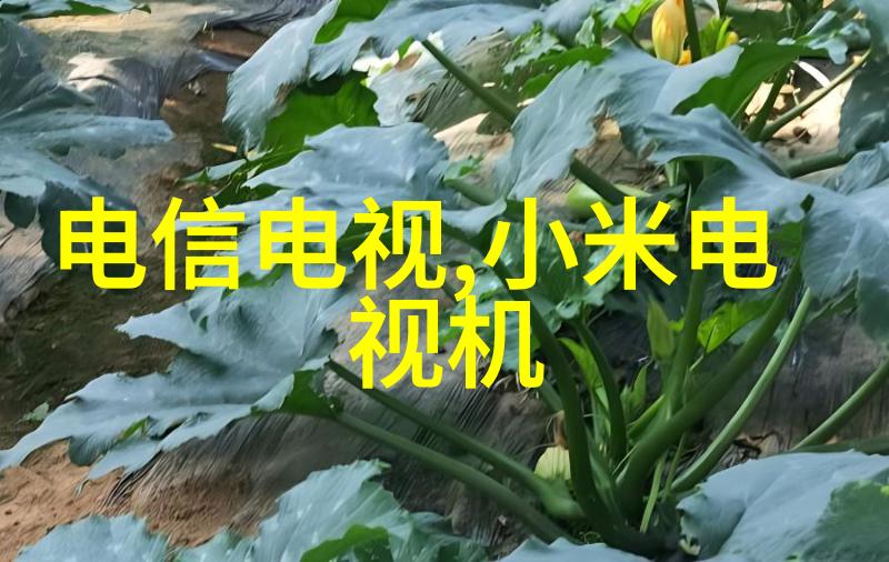 精密测量计量仪器高准确度的科学实验用具
