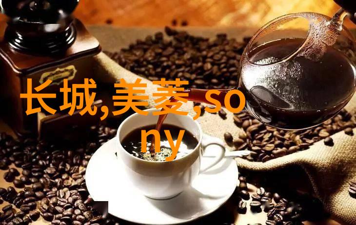 管材型号之探究揭秘不同用途的标准与选择