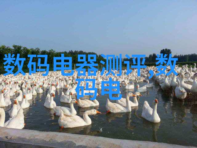立式辊磨机的工作原理与应用场景