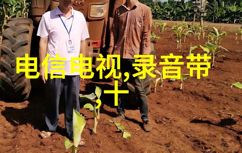 钢管的热情舞蹈