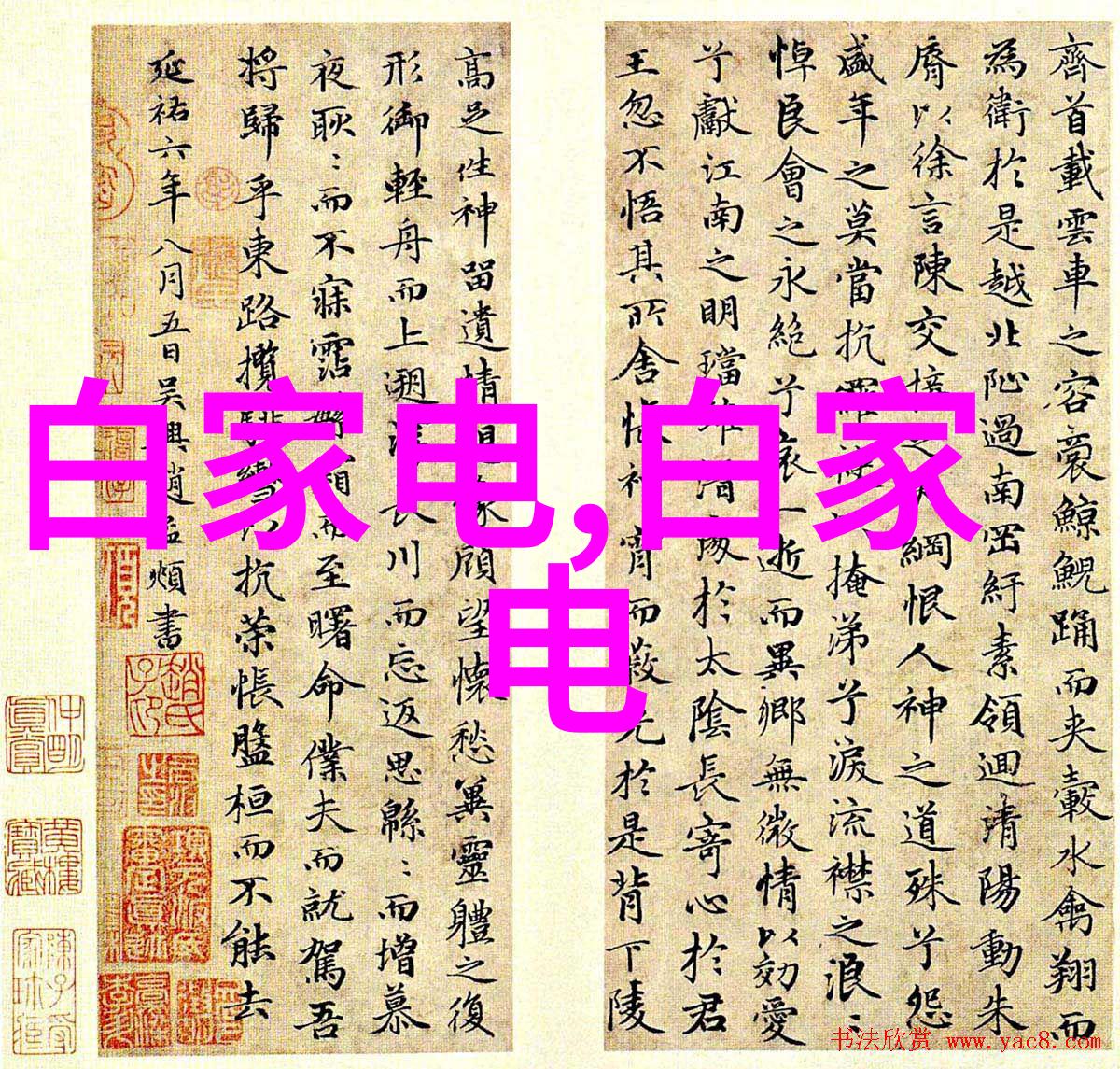 探索BB形态的艺术与魅力从基础到创意的无限可能