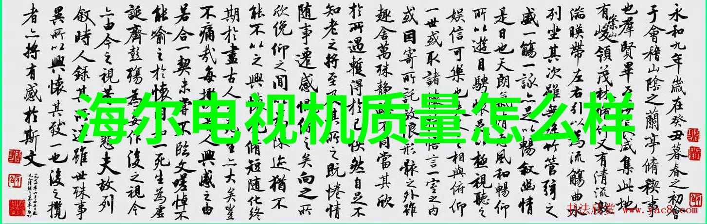 向日葵的花语金色绽放的诗篇