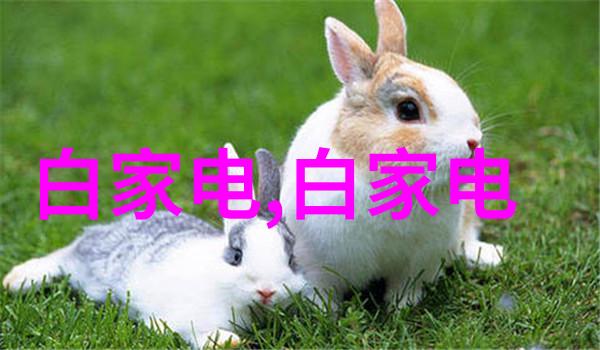 从校园到职场浙江财经大学如何助你一臂之力
