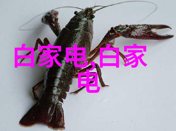 选择合适实验室选矿设备对于提高金属回收率有何重要性