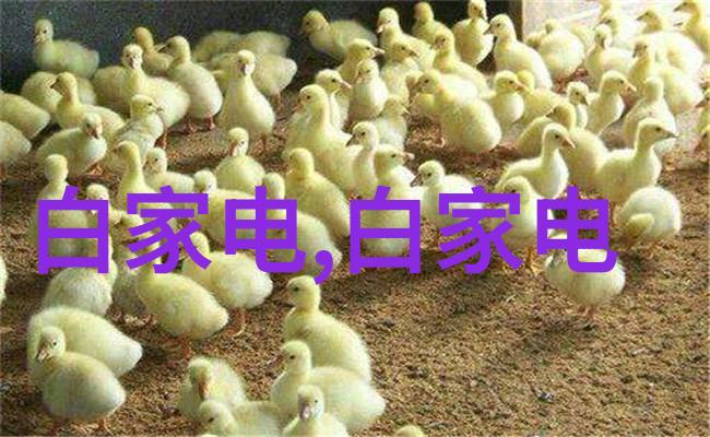森林探索迈开腿发现自然的奇迹