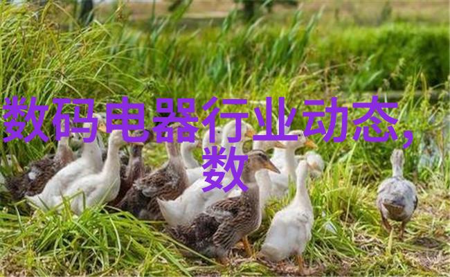 电加热设备维护和清洁的频率是怎样的
