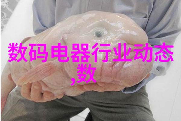 性能参数解析
