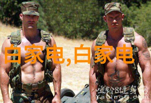 家庭水电维修新时代智能APP引领家中不再担心停电断水