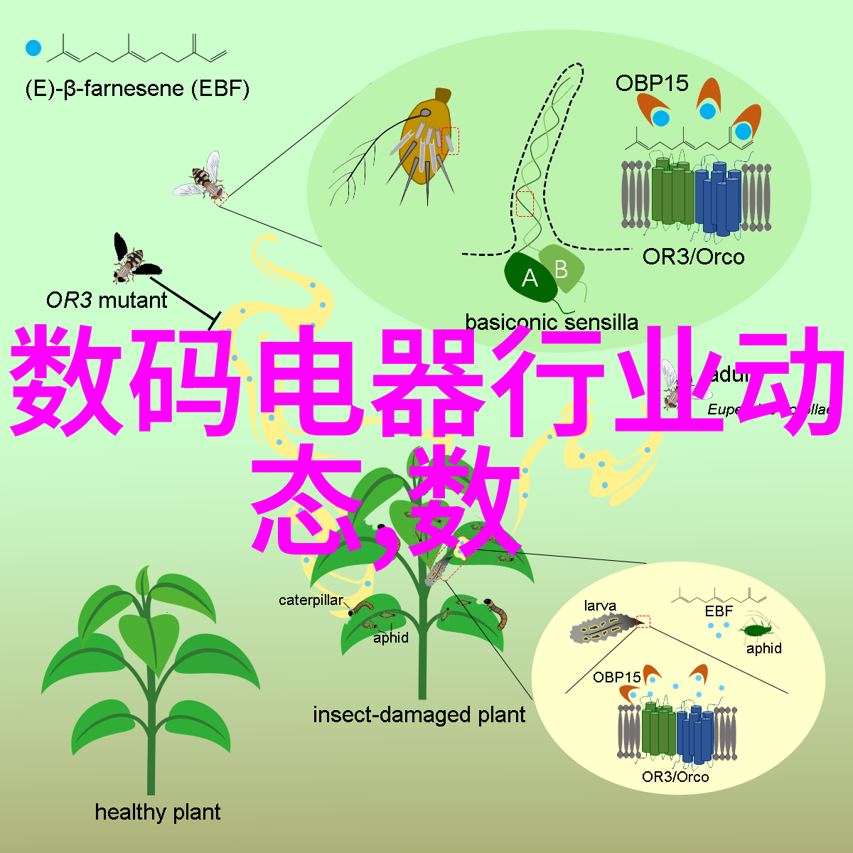 HDPE双壁波纹管耐腐轻便的输送解决方案