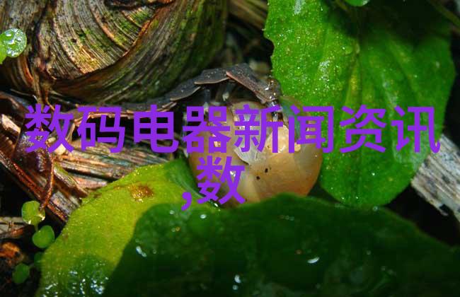 宇航员训练系统中的旋转离心模拟器高强度体能和空间适应性训练设备