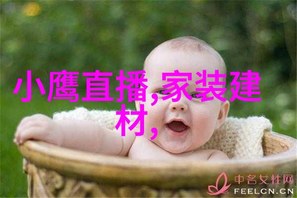 少年的梦想十七岁日本免费完整版BD