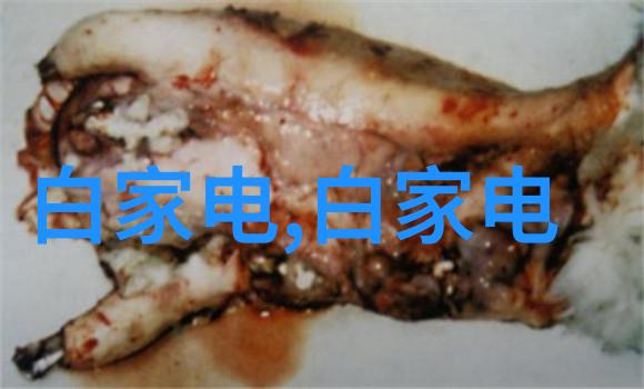 掌心的她一段温暖的故事