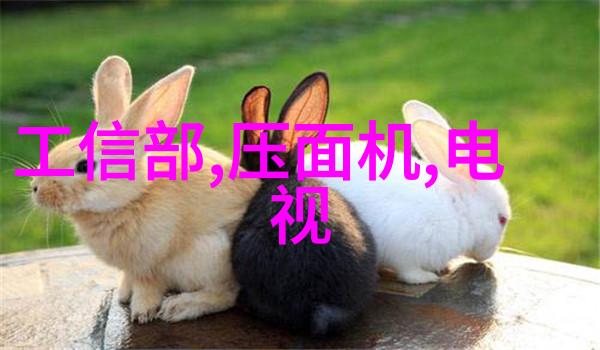 华联股份深度分析000882股票投资评估