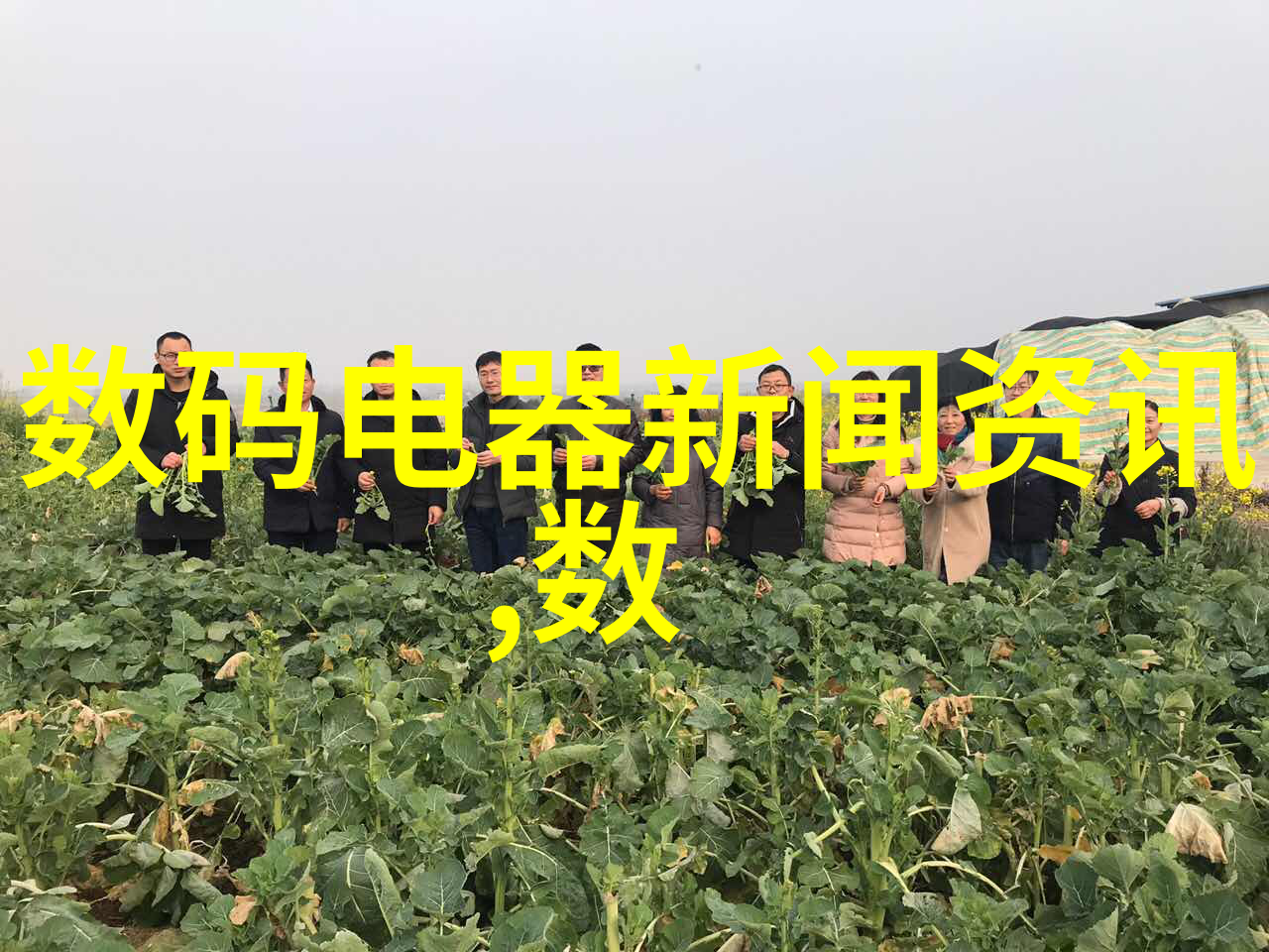 不锈钢制品在日常生活中的应用有哪些