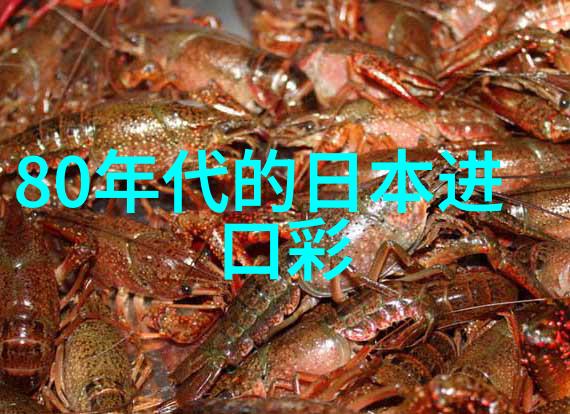 难言之隐为哪般洗衣机内筒惹麻烦