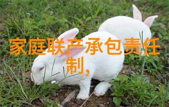 工业自动化中的关键设备皮带输送机的运用与优势