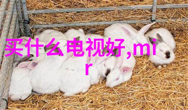 燃烧炉的秘密如何让它更高效使用能源