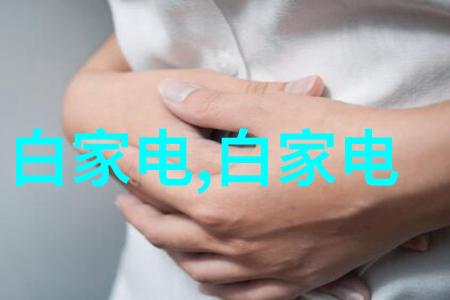 带式干燥机技术高效节能的现代食品工业设备