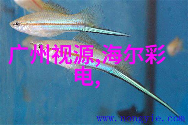 包衣机械新时代的装备与挑战