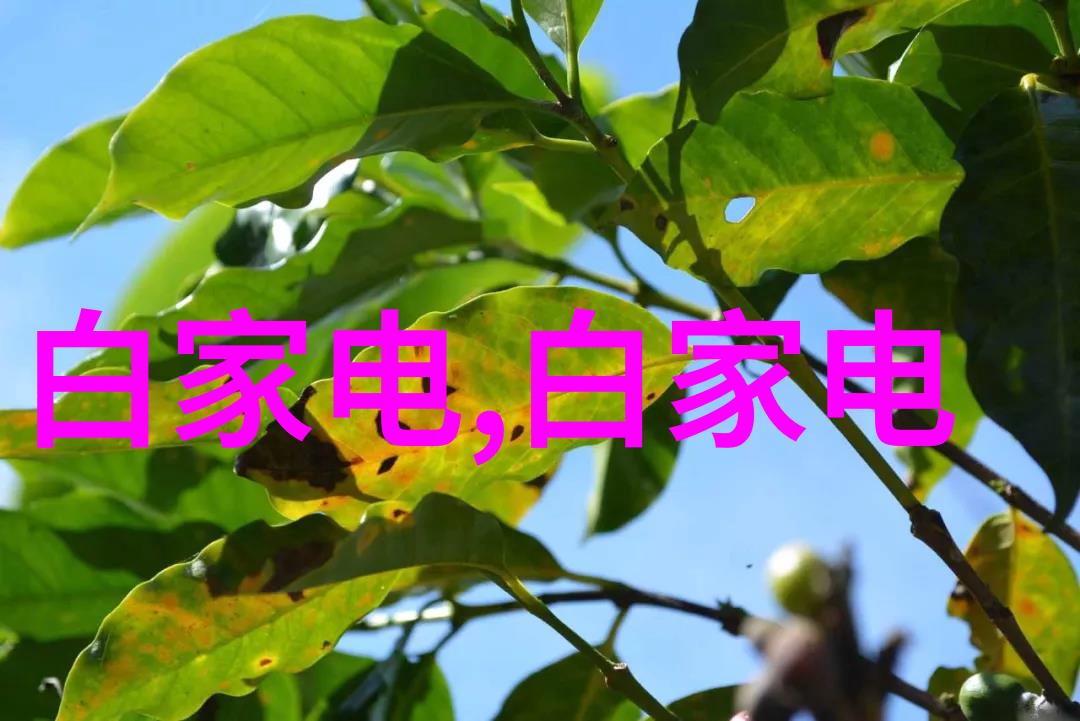 高速离心机旋转的魔力与物质的分割