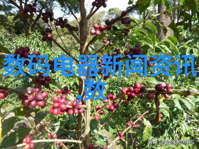 不锈钢规整填料尺寸标准化规范与应用探究