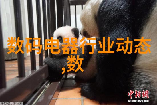 水之纯净清泉器的秘密