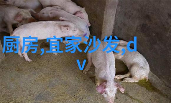 郑州装修设计公司精彩生活点亮家居美学