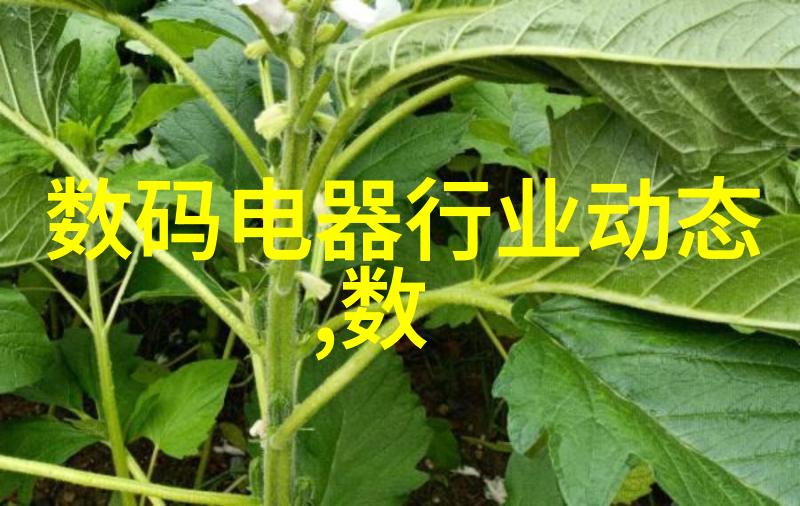 化学工程之谜实验室里的秘密