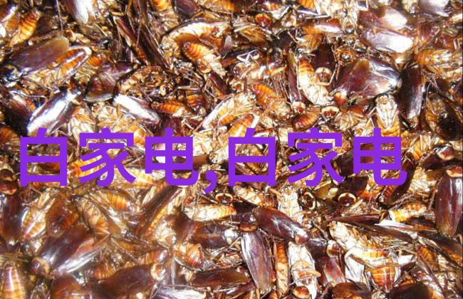 探究矿泉水纯净度深入浅出矿泉水水质检测的艺术与科学