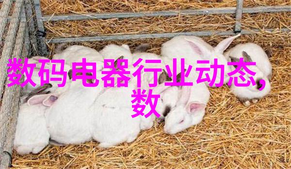 人工智能算法AI算法的创新应用