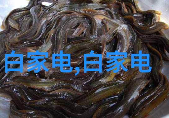 物料输送设备-高效智能化物流系统的核心驱动力