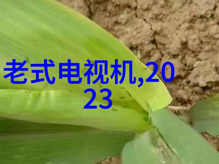 芯片的结构及原理 - 微观奇迹揭秘集成电路的构造与功能