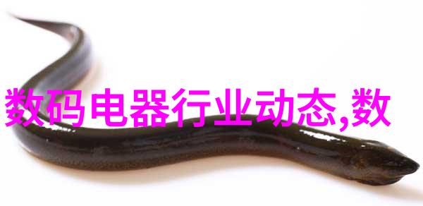 带式干燥设备我来告诉你它是怎么回事