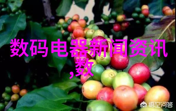 热门技术 鲍尔环填料安装图解析与实用技巧
