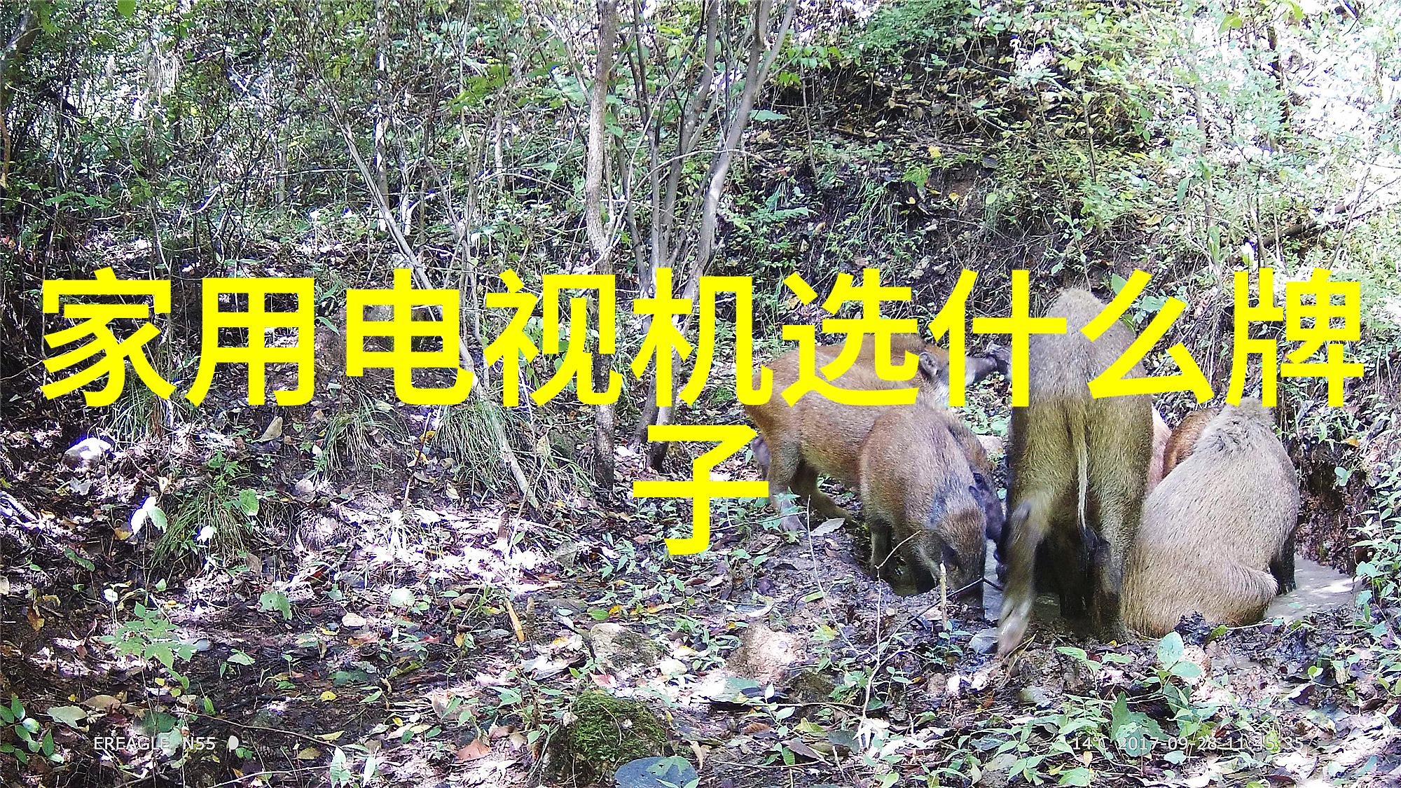 人像摄影人物摄影我眼中的故事如何捕捉生活中的精彩瞬间