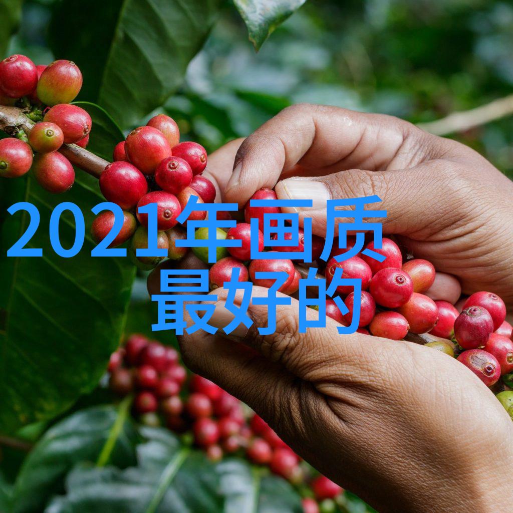 机器人厂家生产智能制造的未来之声