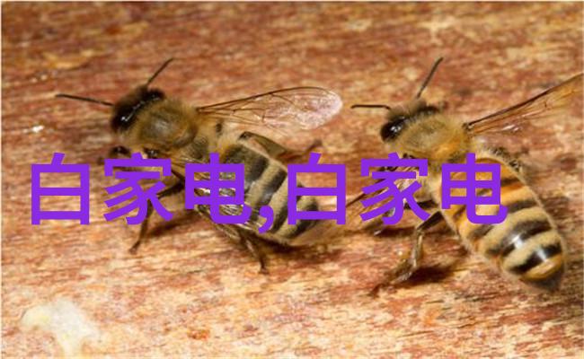零部件的定义机械组成元素