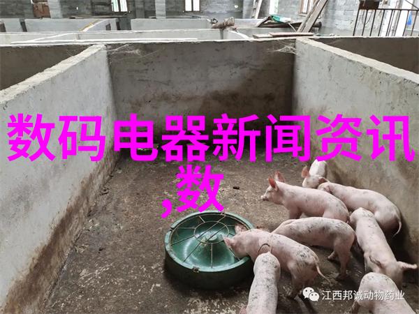 个人检测水质去哪里-探索家庭用水安全的秘密武器
